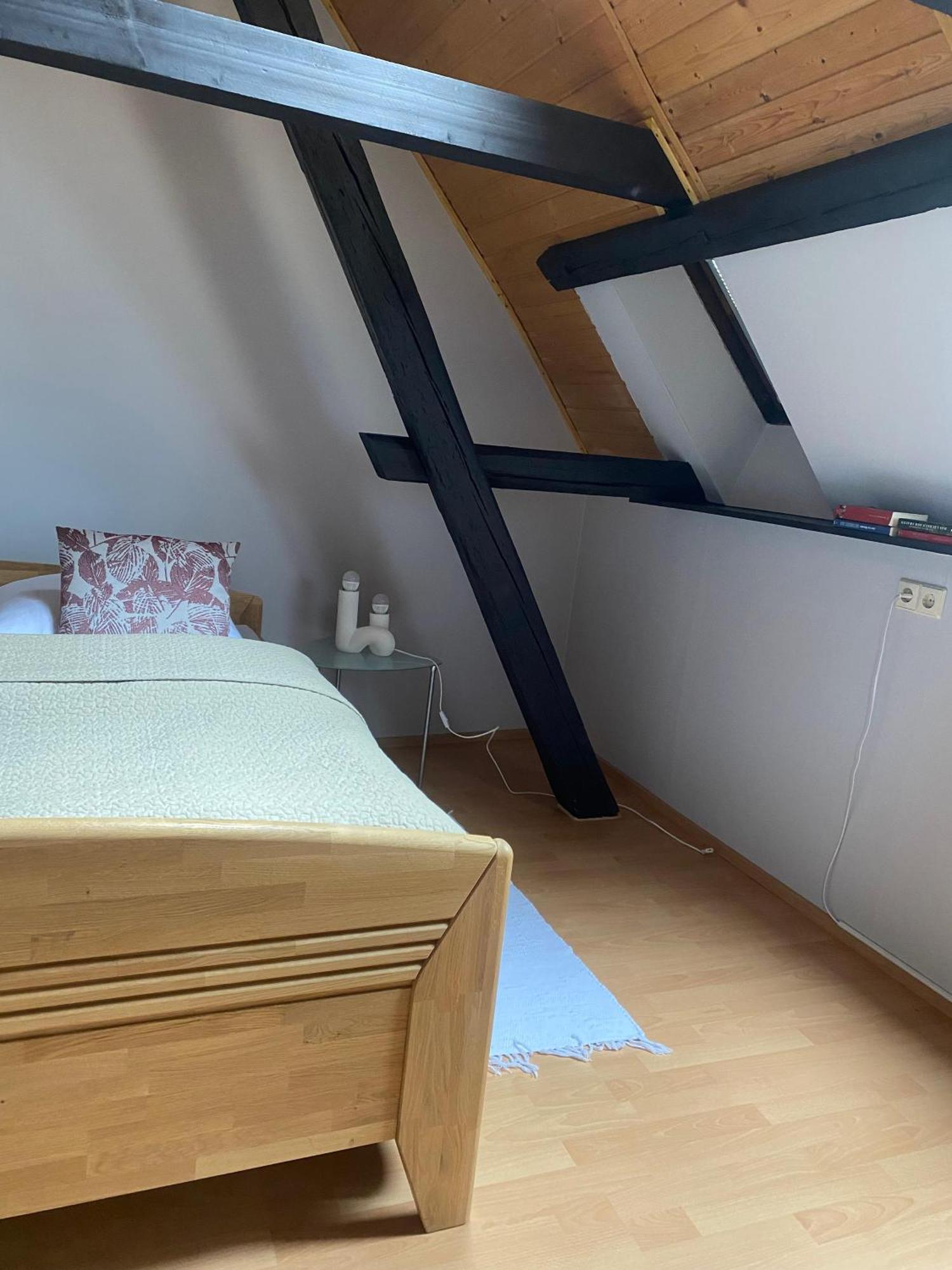 Ferienwohnung An Der Brigach Donaueschingen Exteriör bild