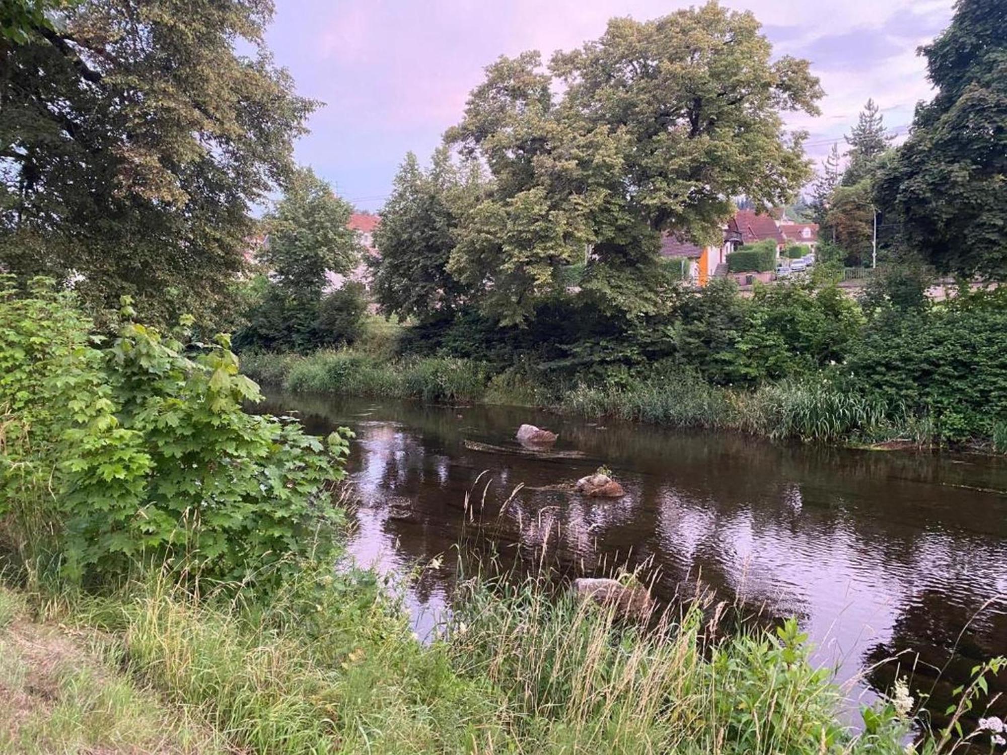 Ferienwohnung An Der Brigach Donaueschingen Exteriör bild