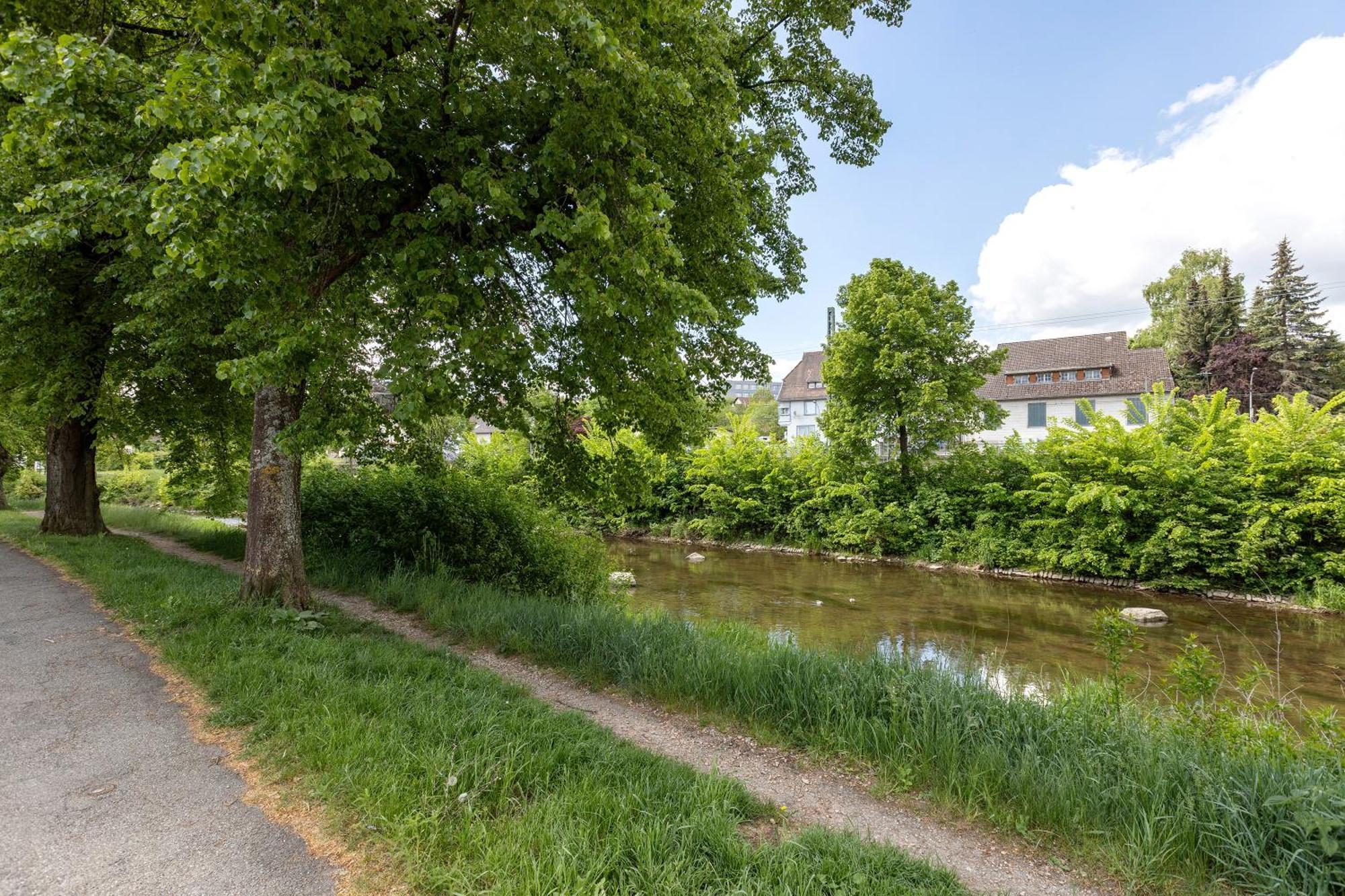 Ferienwohnung An Der Brigach Donaueschingen Exteriör bild